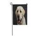 KDAGR Portrait of Beige Labrador Retriever Dog Curious Face Garden Flag Decorative Flag House Banner 28x40 inch