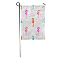 LADDKE Pattern Watercolor Sea Horses Colorful Seahorse Ocean Abstract Aquatic Garden Flag Decorative Flag House Banner 12x18 inch