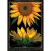 Toland Home Garden Sunflowers On Black Outdoor Garden Flag 18 x 12.5