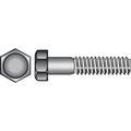 Hillman 1/4 Stainless Steel Hex Head Cap Screw