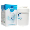 Replacement General Electric PHE25MGTJFWW Refrigerator Water Filter - Compatible General Electric MWF MWFP Fridge Water Filter Cartridge - Denali Pure Brand