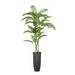 93-inch Tall Palm Tree in Planter - 93"