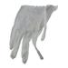 Cotton Glove Lightweight for Handling Coins Stamps Large 6 pair
