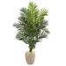 5.5' Paradise Artificial Palm Tree in Sand Colored Planter - h: 5.5 ft. w: 38 in. d: 26 in