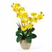 Alcott Hill® Double Phalaenopsis Orchids Floral Arrangement in Pot Polyester/Faux Silk/Plastic/Fabric in Yellow | 25 H x 15.5 W x 12 D in | Wayfair