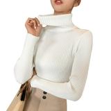 Alvage Sweaters Slim Soft Long Sleeve Turtleneck Knit Pullover Tops