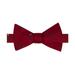 Tommy Hilfiger Mens Tree Self-Tied Bow Tie