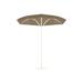 Tropitone Trace 9'2" Market Sunbrella Umbrella in Brown | 99.75 H in | Wayfair KH009MSV_SNO_GOLD COAST