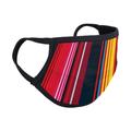 Washable Face Mask Reusable Anti Dust mask - Custom Designed Serape Mexican Stripes Pattern Balaclava Hand Made Masks - Machine Washable - Colorful Stylish Face Covering Protection Made in USAâ€¦ester