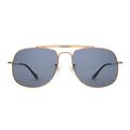 Nextpair Polarized Sunglasses Theodore With 100% UV Protection & Gold Retro Frames & Stylish Sunglasses For Women And Men