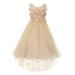 Big Girls Champagne 3D Flower Adorned High-Low Tulle Flower Girl Dress Big Girls