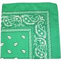 12 Pack Daily Basic 100% Cotton 22 x 22 in Paisley Printed Bandana