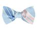 Men's Blue and Navy Silk Self Tie Bowtie Tie Yourself Bow Ties