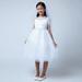 Sweet Kids Little Girls White Pleated Organza Special Occasion Dress 2-6