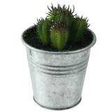 Northlight Seasonal 3.5" Tropical Mini Artificial Cactus in Tin Pot Plastic/Metal | 7 H x 2.75 W x 2.5 D in | Wayfair NORTHLIGHT SF04561