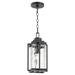 Arlmont & Co. Black 1 -Bulb 14.25" H Outdoor Hanging Lantern Aluminium/Metal in Black/Gray | 14.25 H x 7.5 W x 1 D in | Wayfair