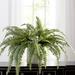 Charlton Home® Boston 48" Artificial Fern Plant | 48 H x 40 W x 25 D in | Wayfair CHRL7455 42924901