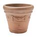 Winston Porter Amayia Resin Pot Planter Plastic in Brown | 11 H x 12.5 W x 12.5 D in | Wayfair D1289AD7CF3044A5A789AB9551F78199