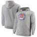 Phoenix Suns Mitchell & Ness Big & Tall Throwback Logo Pullover Hoodie - Heathered Gray