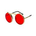 Mens Womens Flip Up Lens Round Circle Frame Vintage Retro Steampunk Sunglasses