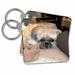 3dRose A Shih Tzu baby in a yellow sweater laying on a tan afghan - Key Chains, 2.25 by 2.25-inch, set of 2