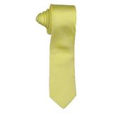 Calvin Klein Mens Pop Unsolid Solid Silk Business Neck Tie