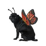 Monarch Butterfly Pet Costume