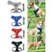 Luxtrada Pet Dog Harness Mesh Vest Dog Leash Dog Harnesses Chest Straps Belt Easy Control + Pet Harness Leash for Small Medium Large Dog (Gray L)