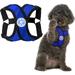 Gooby Comfort X Step-In Harness - Blue X-Large - Breathable Lightweight and Wrinkle Free Mesh Harness with Patented Choke-Free X Frame for Small Dogs and Medium Dogs