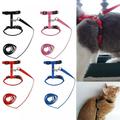 Cat Harness with Leash Kitty Harness and Bungee Leash Adjustable Safe Harness for Cats Escape Proof Walking for Small Medium Large