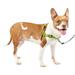 PetSafe Deluxe Easy Walk Dog Harness No-Pull Dog Training Apple Medium