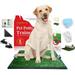 Deluxe Dog Grass Potty Pad with Tray Large Size 20 x 30â€� Artificial Grass Pee Pad for Dogs with Tray Second Mat and Accessories Included
