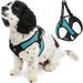 Gooby Escape Free Easy Fit Harness - Turquoise X-Small - Escape Free Step-In Harness with Neoprene Body for Small Dogs and Medium Dogs Indoor and Outdoor use