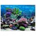 Tebru PVC Adhesive Underwater Coral Aquarium Fish Tank Background Poster Backdrop Decoration Paper Fish Tank Decor Paper Fish Tank Background Paper