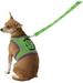 Hulk Harness & Leash Marvel Superhero Fancy Dress Halloween Pet Dog Cat Costume