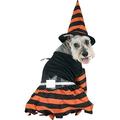 Halloween Witch Dog Costume~Large / Orange/Black/Yellow