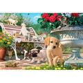 Anatolian Pets Hide and Seek By Artist Steve Read 260 Piece Animals & Wildlife Jigsaw Puzzle