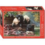 Crown Point Graphics 272675 Jigsaw Puzzle - Cozy Moments with Poster - 1000 Piece