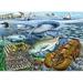 Life in the Atlantic Ocean a 35-piece Puzzle by Cobble Hill