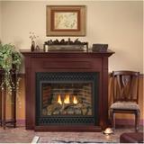 Empire Natural Gas Millivolt Direct-Vent Fireplace with Blower