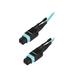 StarTech.com MPO12PL10M MTP Fiber Optic Cable - 30 ft / 10m - OM3 - 40Gb - Push / Pull Tab - Plenum - MPO / MTP Connector - Fiber Patch Cable