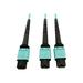 Eaton Tripp Lite Series 400G Multimode 50/125 OM4 Plenum Fiber Optic Cable 24F MTP/MPO-PC to (x2) 12F MTP/MPO-PC (F/F) Aqua 5 m
