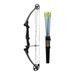 Genesis Original Compound Bow and Arrow Kit Right Handed Carbon