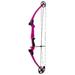 Genesis Original Archery Compound Bow Adjustable Size Right Hand Purple