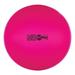 Champion Sports FP65NP 65 cm Fitpro Training & Exercise Ball Neon Pink