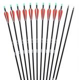 Archery Carbon Arrow 30 Shaft with Turkey Fletch and Field Point Replaceable Steel Tips for Recuve and Compound Bow 12PCS