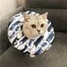 Alvage Adjustable Cat Recovery Collar Soft Cone for Cats Head Wound Healing Protective Cone After Surgery Cat E-Collar Elizabethan Collars for Pets Kitten and Small Dogs