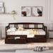 AOOLIVE Twin Size Daybed Wood Bed with Two Drawers,Espresso