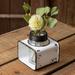 Mason Jar Flower Frog with Caddy - 4¾''W x 4½''D x 6''H