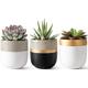 Dahey 3 Pack Small Cement Succulent Planter Pots 4 Inch Modern Mini Concrete Flower Pots Indoor Outdoor for Cactus Herb or Small Plants Home Decor